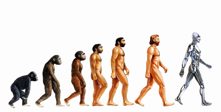 Evolution of Thought The Missing Link